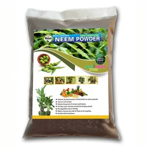 Superior-grade vegetable seeds online