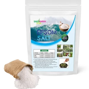 Highest-rated vegetable seeds online