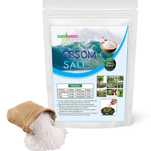 Highest-rated vegetable seeds online