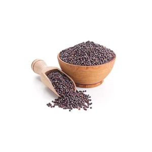 Premium organic seeds online