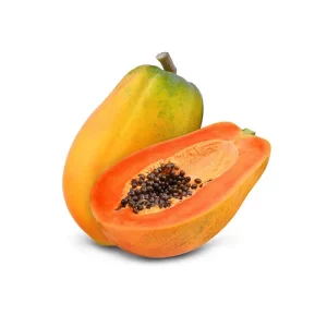 Organic seed supplier online