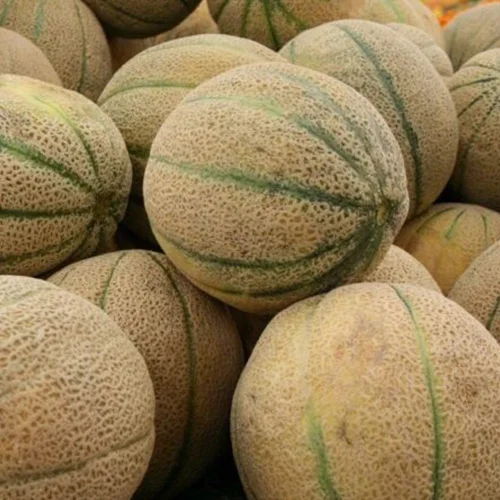 Order botanical seeds online