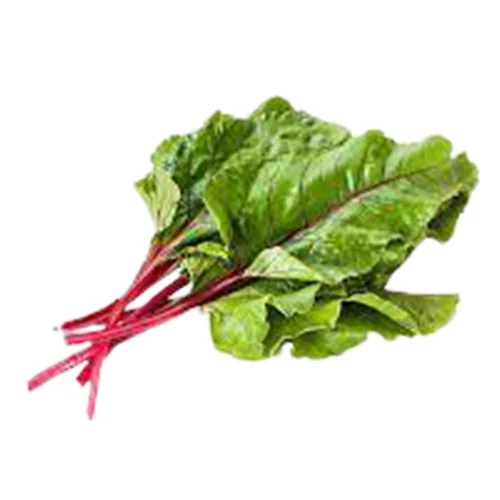 Sam's gardening blog