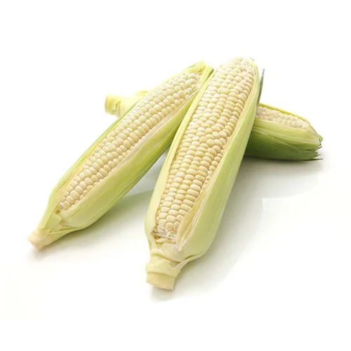 Vegetable seeds