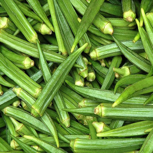 Green Throne Okra (Benda) Desi Vegetable Seeds