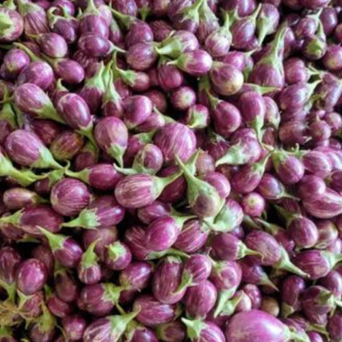 Earth-friendly seeds