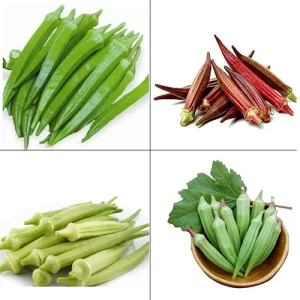 Buy tomato seeds