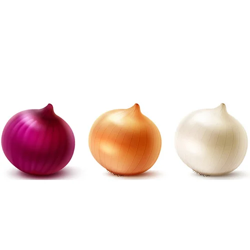 Top-tier vegetable seeds India