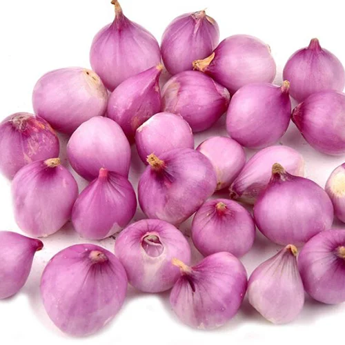 Outstanding vegetable seeds India