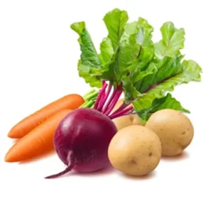 Sam's garden supply