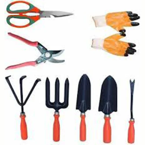 Nearby desi vegetable seeds