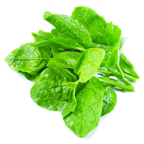 Garden fertilizer for veggies