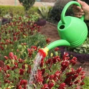 Certified organic vegetable seeds online