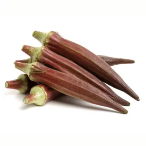 Order botanical seeds online