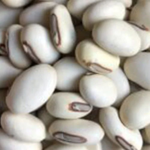 Eco-friendly desi seeds India