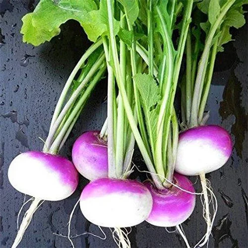 Organic desi seeds India