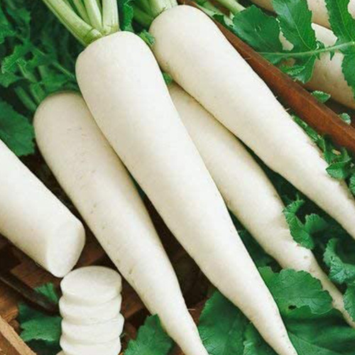 Radish White Long Seeds (Desi Vegetable Seeds) ( Mullangi )