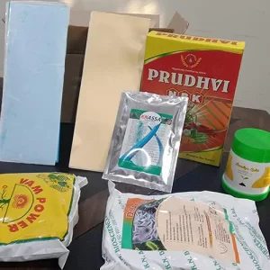 Local seeds online