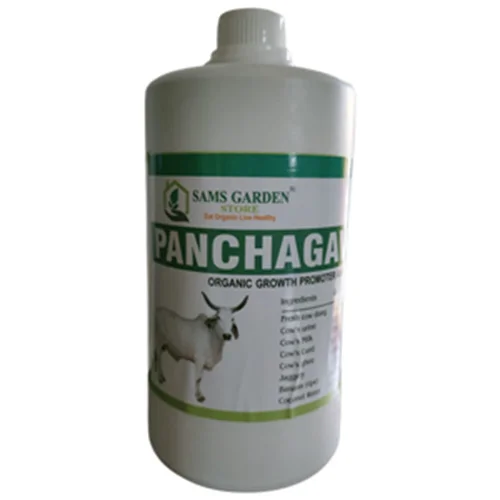 Reliable organic vegetable seed suppliers online