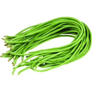 buy organic seeds online