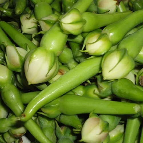 Gardening accessory shopping