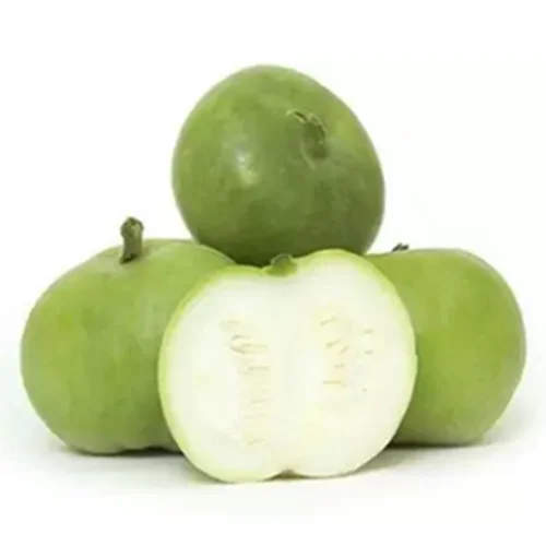 Premium vegetable seeds for sale