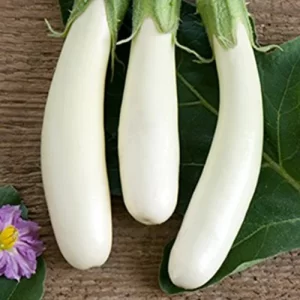 Non-toxic seeds
