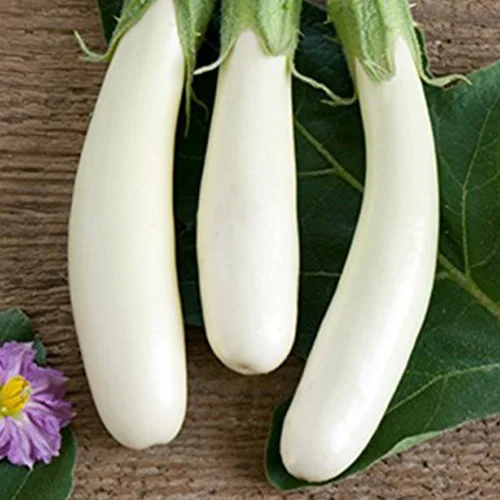 Non-toxic seeds