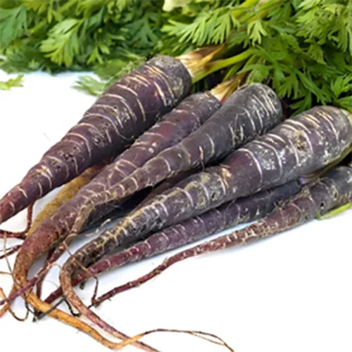 Heirloom vegetable seeds for sale