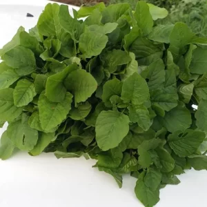 Vegetable seed sale