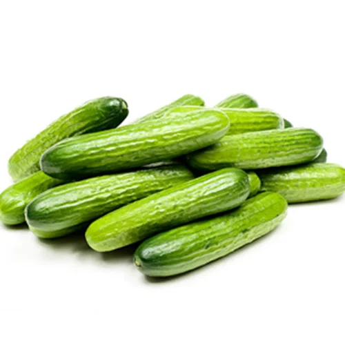 Trusted organic seed vendors online