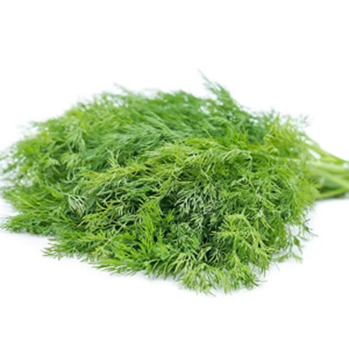 Buy natural seeds online