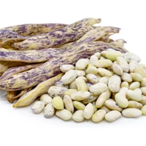 Top-rated flower seeds online