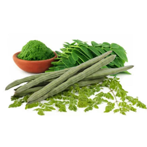 Premium flower seeds online