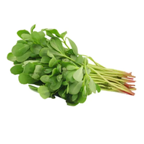 Order flower seeds online