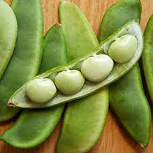Fertilizer for vegetable gardens