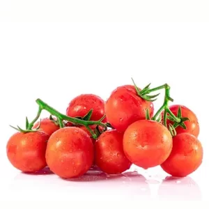 Buy tree seeds online
