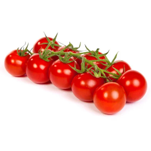 Shop for plant seedlings online
