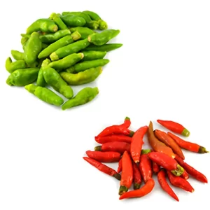 Sam's garden updates