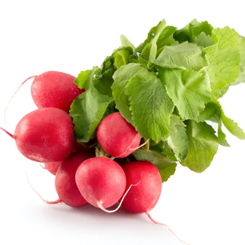 Native plant seeds India