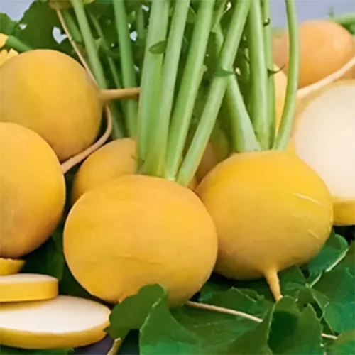 Traditional Indian seeds