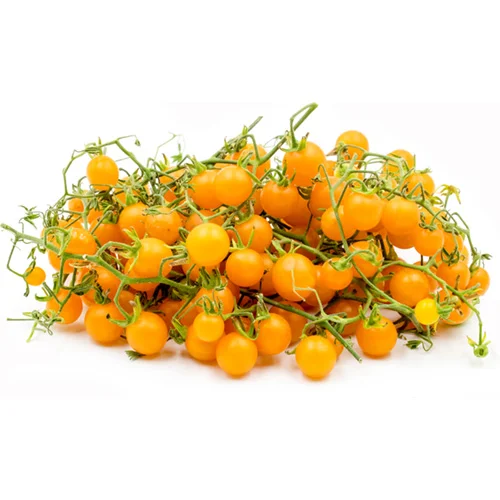 soil fertilizer for vegetables