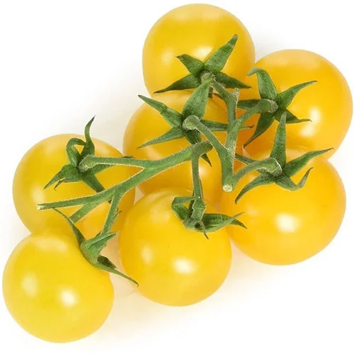 order plant seeds online