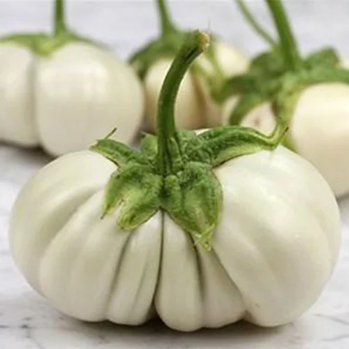 Environmentally friendly seeds