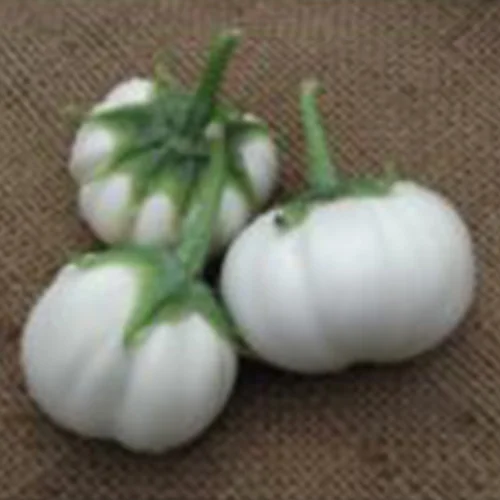 Certified organic seeds