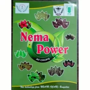 Reliable vegetable seeds online