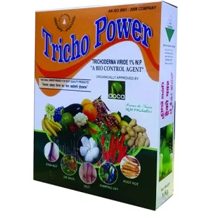 Authentic Indian seeds