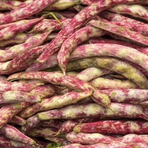 Pure organic vegetable seeds