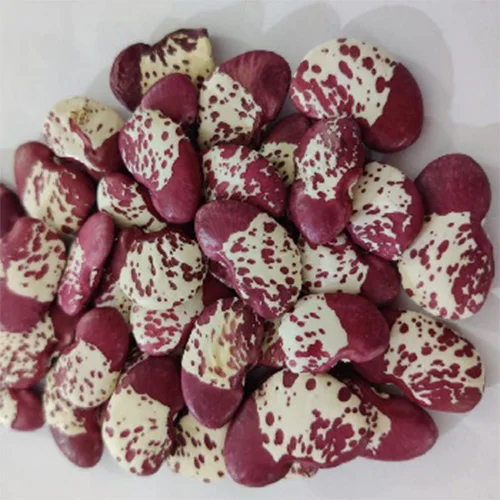 Chemical-free organic vegetable seeds