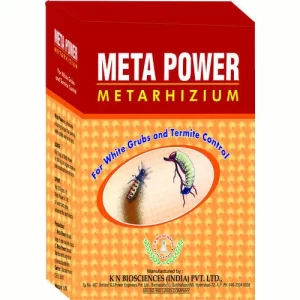 Order flower seeds online